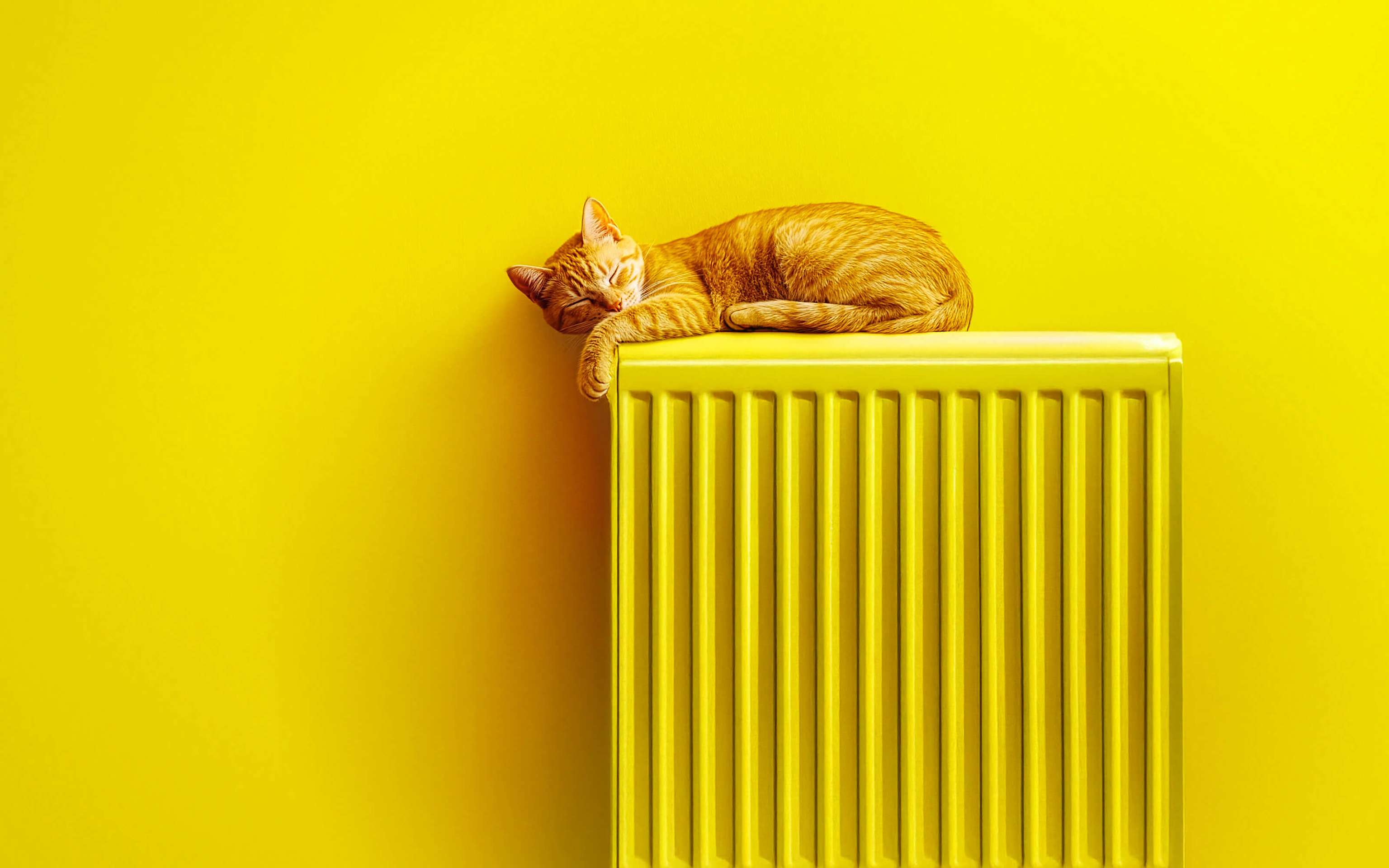 Wärmestromtarife: Perfekt für Wärmepumpe & Nachtspeicherheizung Katze schläft entspannt auf einer gelben Heizung in einem gelben Raum - KI generiert