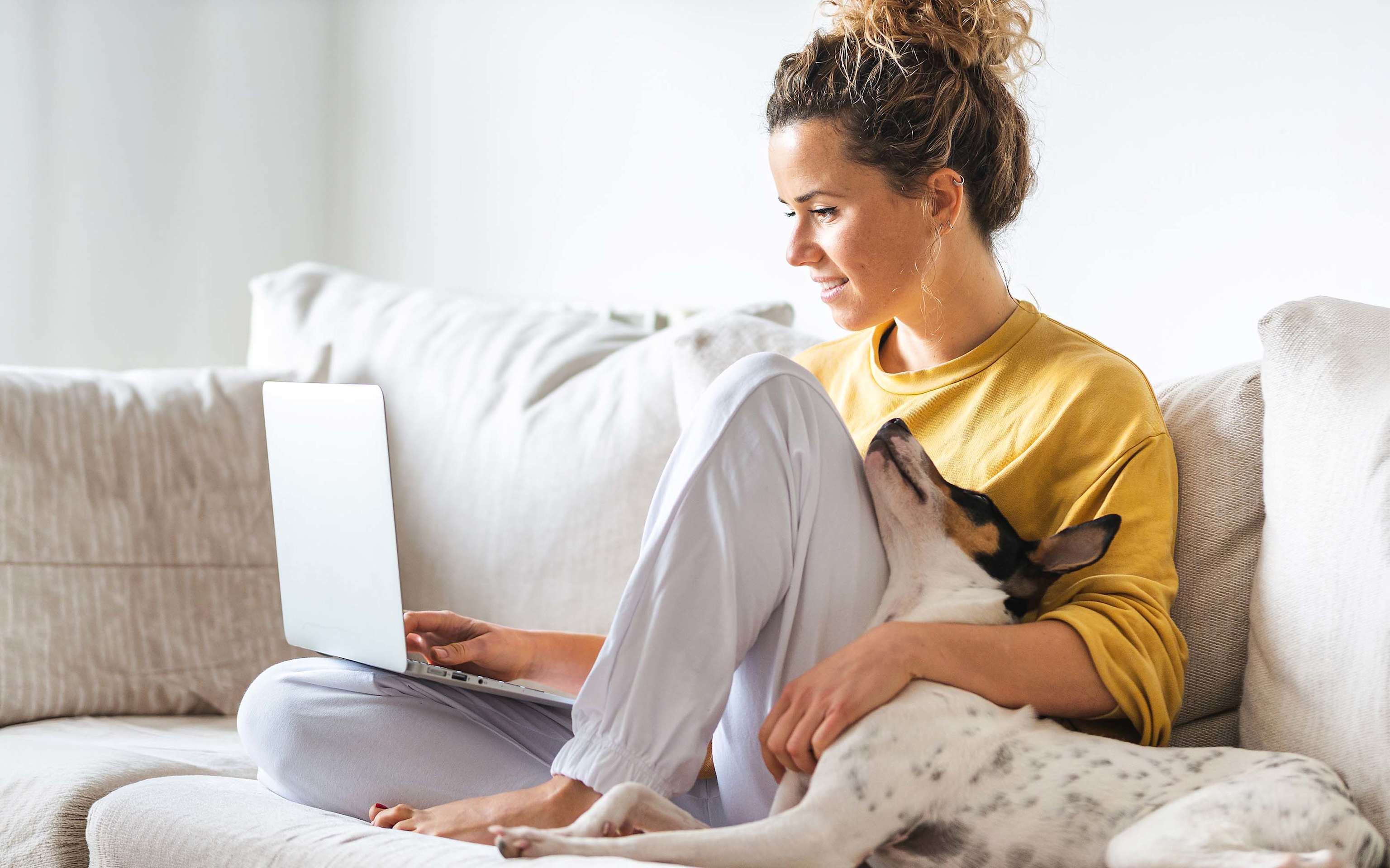 Frau mit gelbem Pullover sitzt mit ihrem Hund auf der Couch und arbeitet am Laptop Frau mit gelbem Pullover sitzt mit ihrem Hund auf der Couch und arbeitet am Laptop