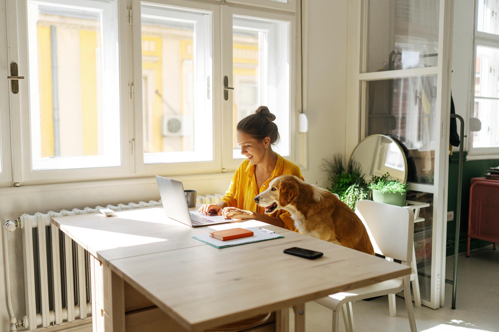 Eine junge Frau arbeitet zu Hause am Laptop mit ihrem Hund