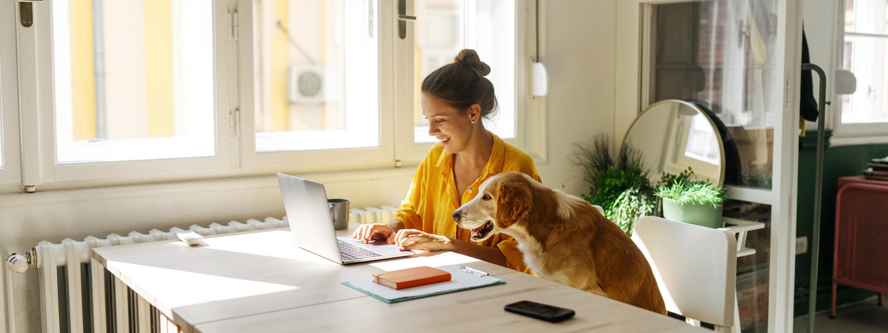Der aktuelle Strompreis 2026 unter der Lupe Eine junge Frau arbeitet zuhause am Laptop und denkt über Strompreise nach, ein Hund sitzt neben ihr