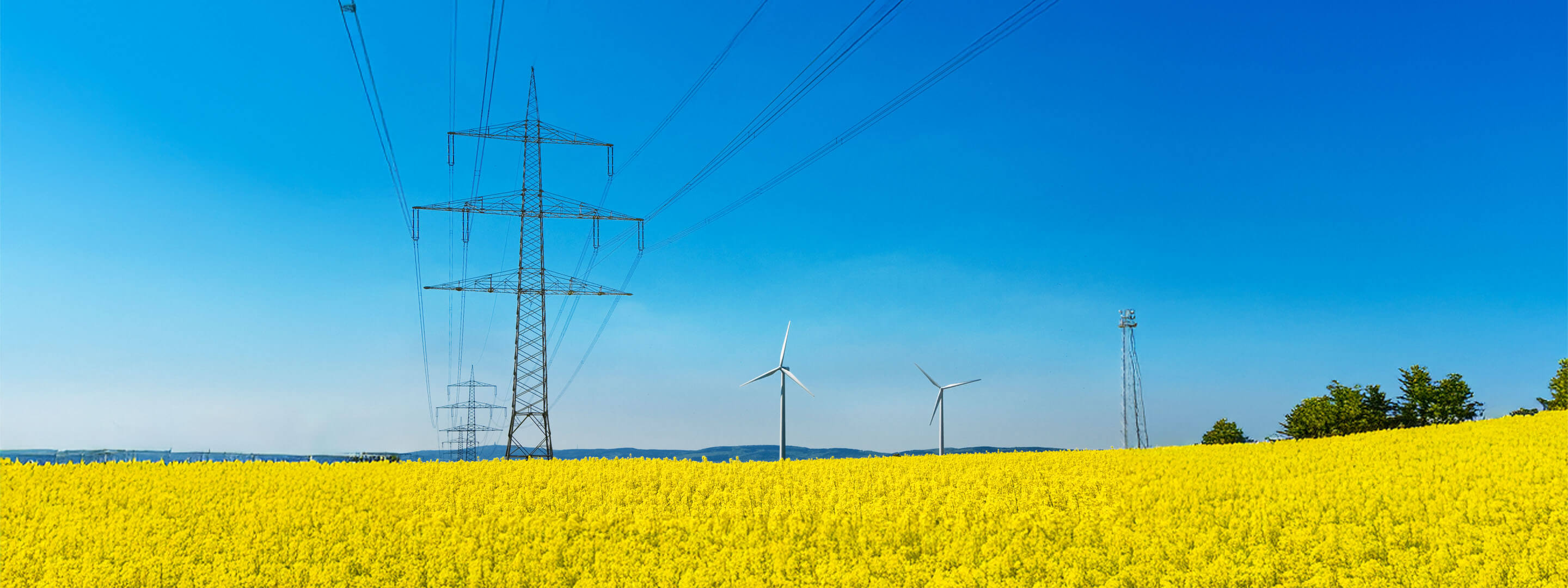 So funktioniert unser Stromnetz in Deutschland Strommast mit Hochspannungsleitungen in einem Rapsfeld mit Windenergieanlagen im Hintergrund