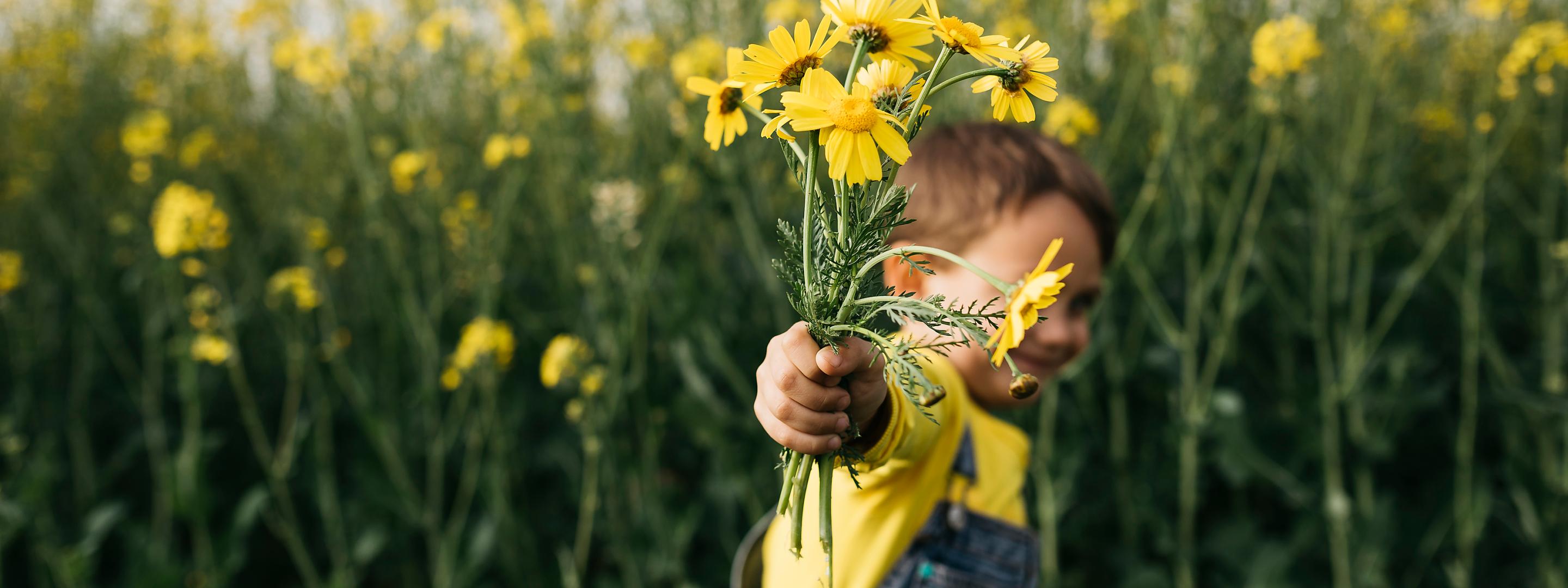 Ein kleiner Junge steht vor einem Feld mit gelben Wildblumen und hält einen Strauß der Blumen in die Kamera.