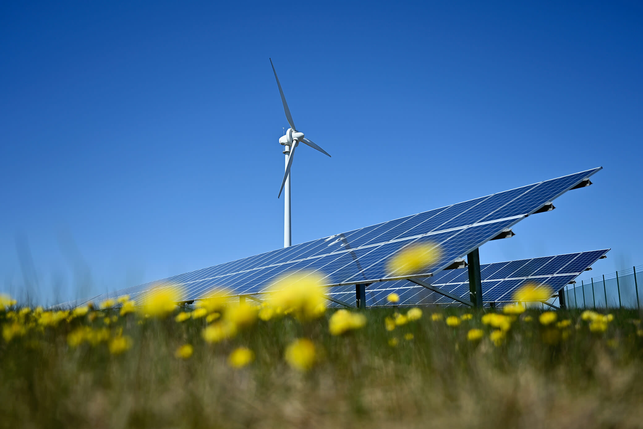 Erneuerbare Energien sorgen emissionsarm für Strom Eine Windenergieanlage und Solarpark im Blumenfeld